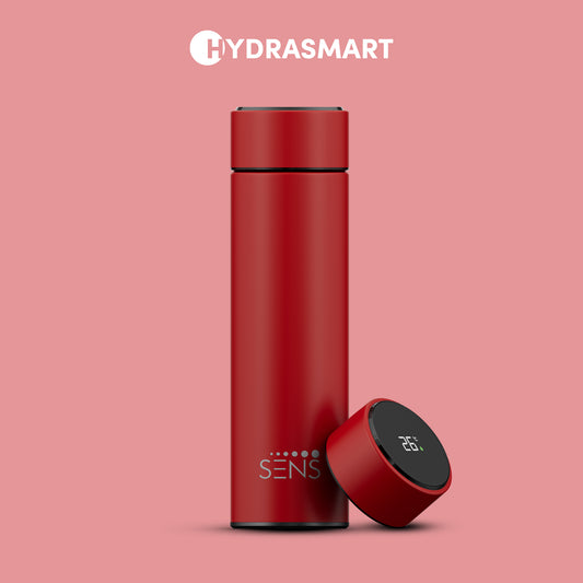 HYDRA SMART/500ML